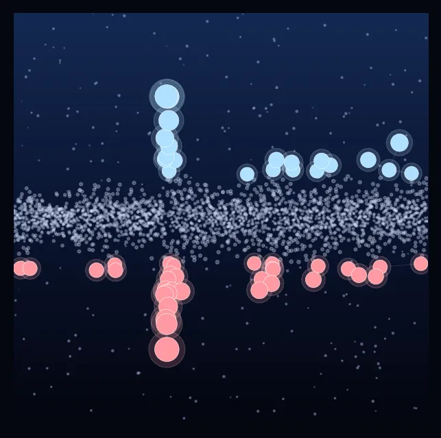 constellation