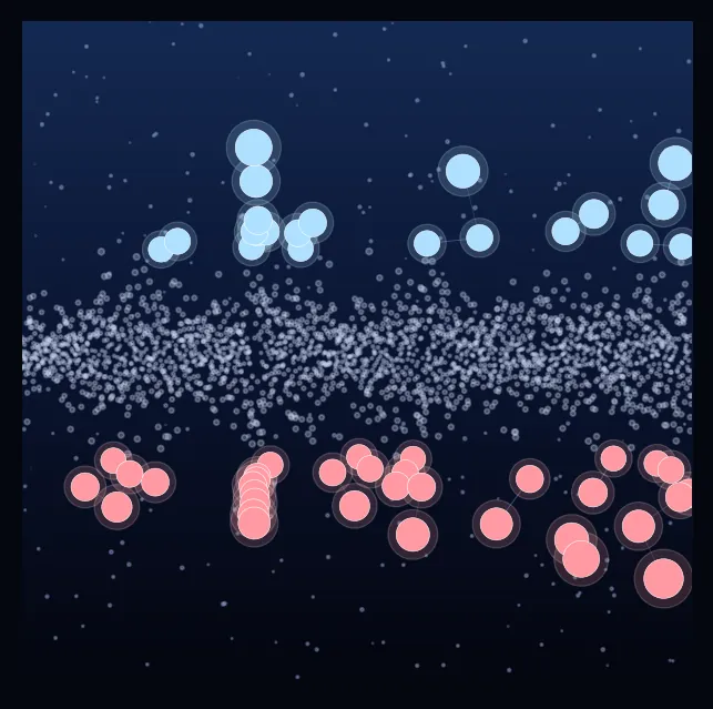 constellation