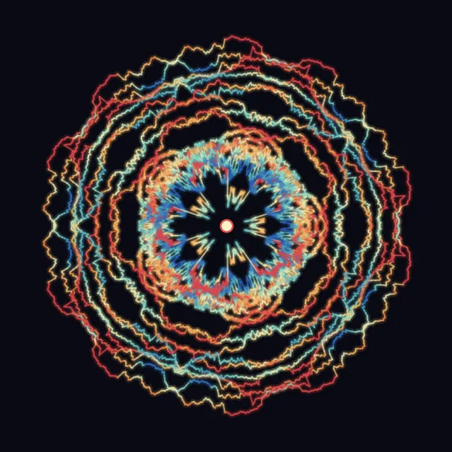 USFD